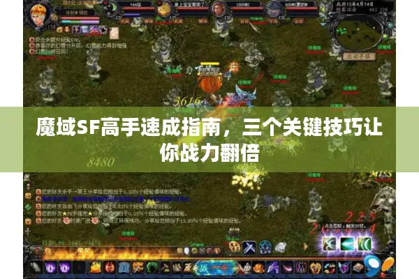 魔域SF高手速成指南，三个关键技巧让你战力翻倍