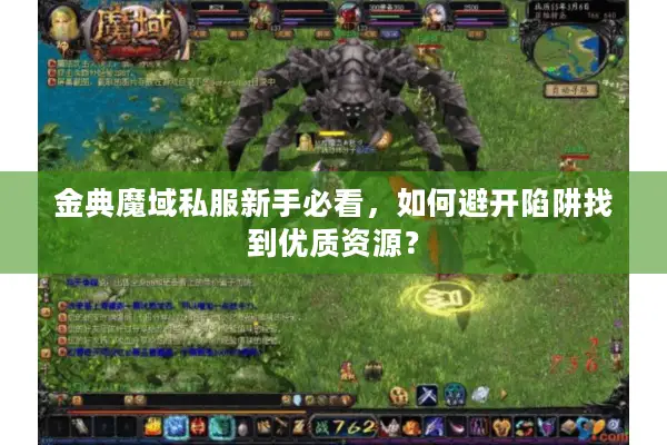 金典魔域私服新手必看，如何避开陷阱找到优质资源？