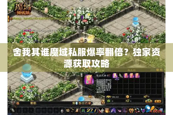 舍我其谁魔域私服爆率翻倍？独家资源获取攻略