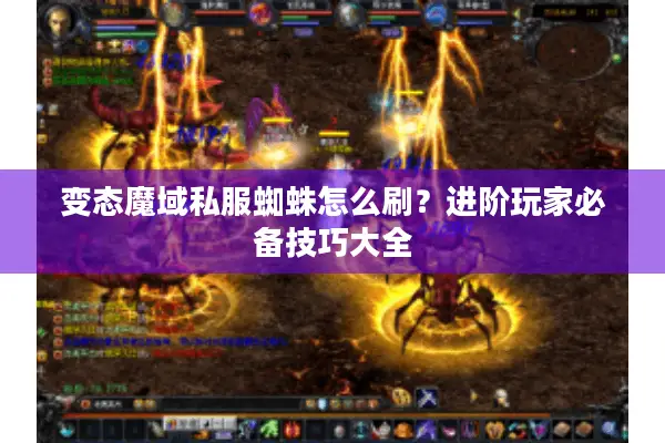 变态魔域私服蜘蛛怎么刷？进阶玩家必备技巧大全