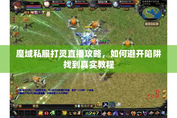 魔域私服打灵直播攻略，如何避开陷阱找到真实教程