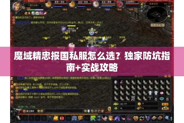 魔域精忠报国私服怎么选？独家防坑指南+实战攻略