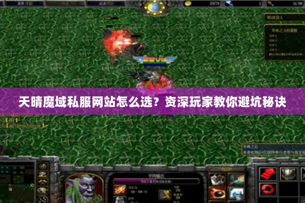 天晴魔域私服网站怎么选？资深玩家教你避坑秘诀