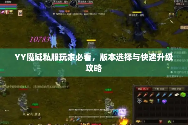 YY魔域私服玩家必看，版本选择与快速升级攻略