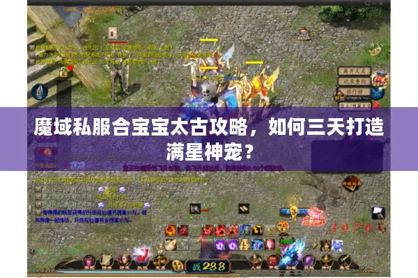 魔域私服合宝宝太古攻略，如何三天打造满星神宠？