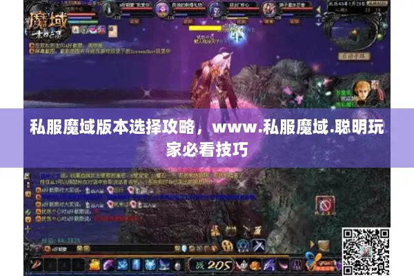 私服魔域版本选择攻略，www.私服魔域.聪明玩家必看技巧