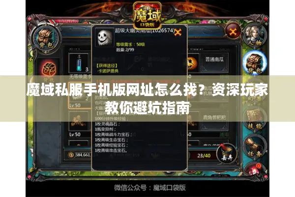 魔域私服手机版网址怎么找？资深玩家教你避坑指南