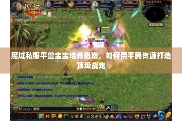 魔域私服平兽宝宝培养指南，如何用平民资源打造顶级战宠