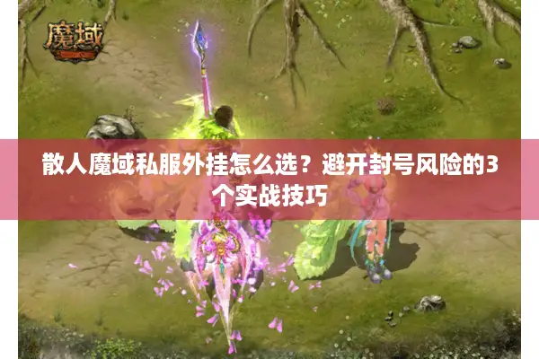 散人魔域私服外挂怎么选？避开封号风险的3个实战技巧