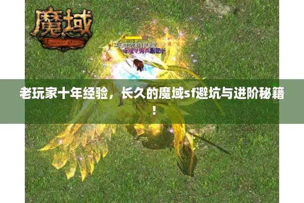 老玩家十年经验，长久的魔域sf避坑与进阶秘籍！