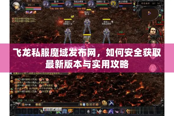 飞龙私服魔域发布网，如何安全获取最新版本与实用攻略