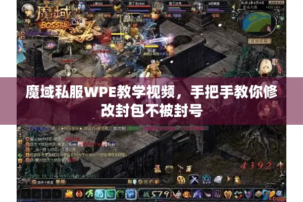 魔域私服WPE教学视频，手把手教你修改封包不被封号