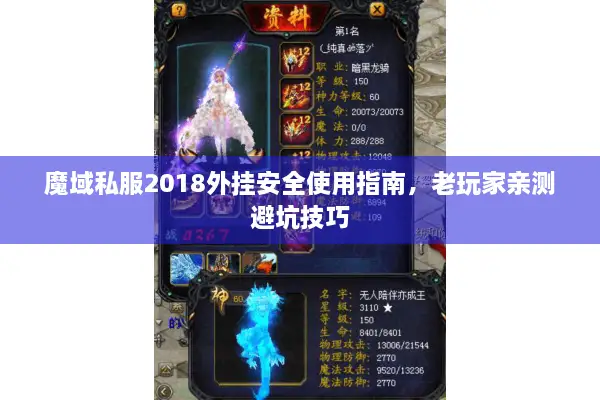 魔域私服2018外挂安全使用指南，老玩家亲测避坑技巧