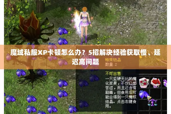 魔域私服XP卡顿怎么办？5招解决经验获取慢、延迟高问题