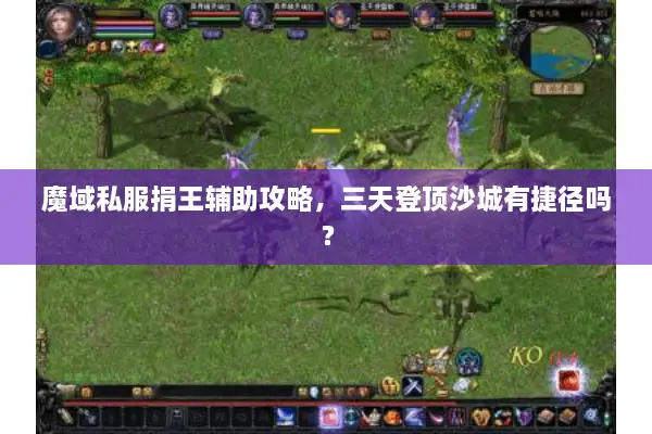 魔域私服捐王辅助攻略,三天登顶沙城有捷径吗? 魔域私服捐王辅助攻略,三天登顶沙城有捷径吗?