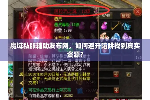魔域私服辅助发布网，如何避开陷阱找到真实资源？