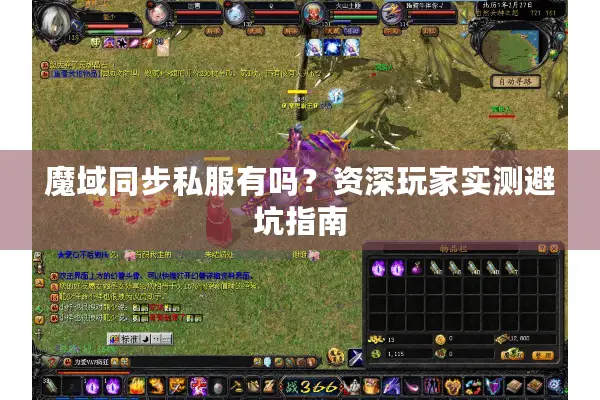 魔域同步私服有吗？资深玩家实测避坑指南