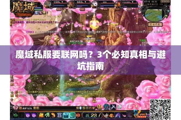 魔域私服要联网吗？3个必知真相与避坑指南