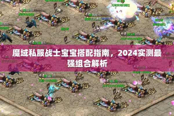魔域私服战士宝宝搭配指南，2024实测最强组合解析