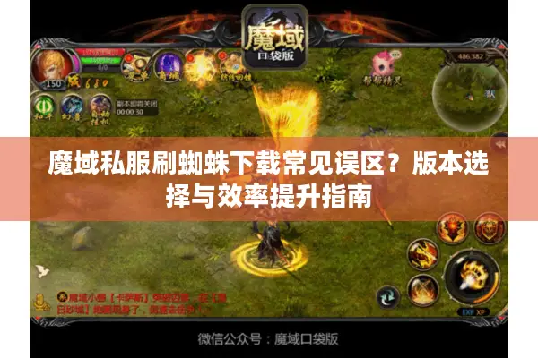 魔域私服刷蜘蛛下载常见误区？版本选择与效率提升指南