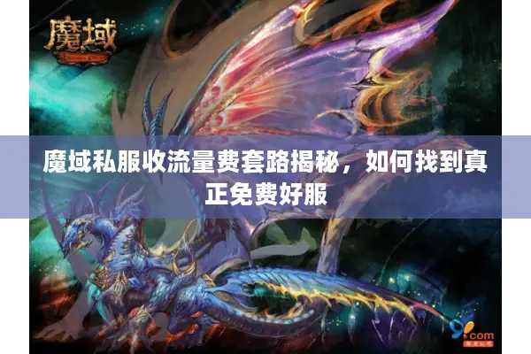 魔域私服收流量费套路揭秘，如何找到真正免费好服