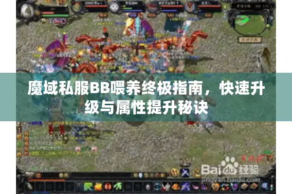 魔域私服BB喂养终极指南，快速升级与属性提升秘诀