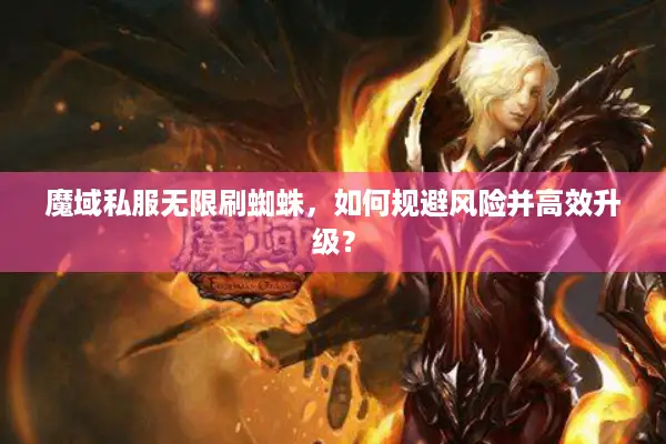 魔域私服无限刷蜘蛛，如何规避风险并高效升级？