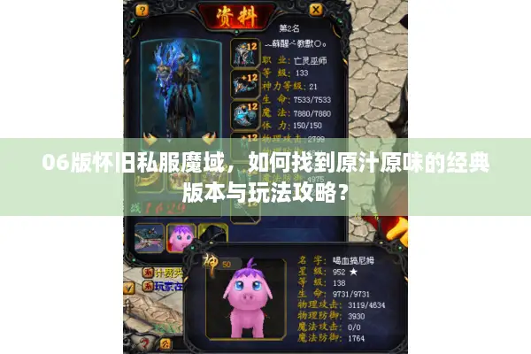 06版怀旧私服魔域，如何找到原汁原味的经典版本与玩法攻略？