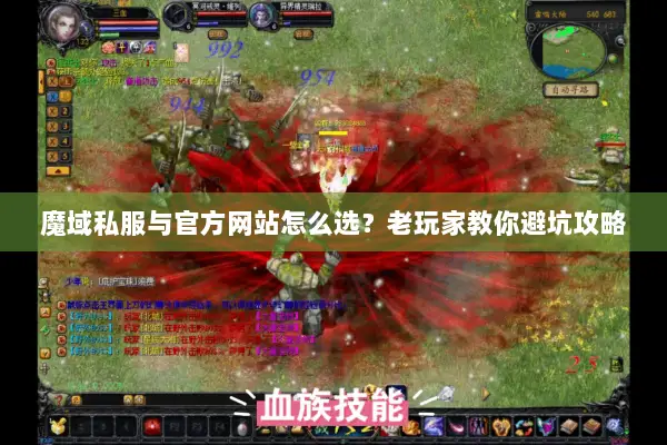 魔域私服与官方网站怎么选？老玩家教你避坑攻略