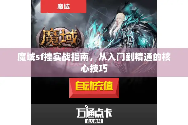 魔域sf挂实战指南，从入门到精通的核心技巧