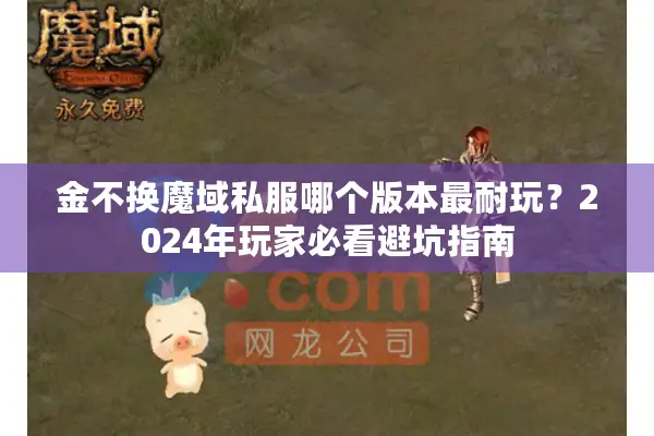 金不换魔域私服哪个版本最耐玩？2024年玩家必看避坑指南