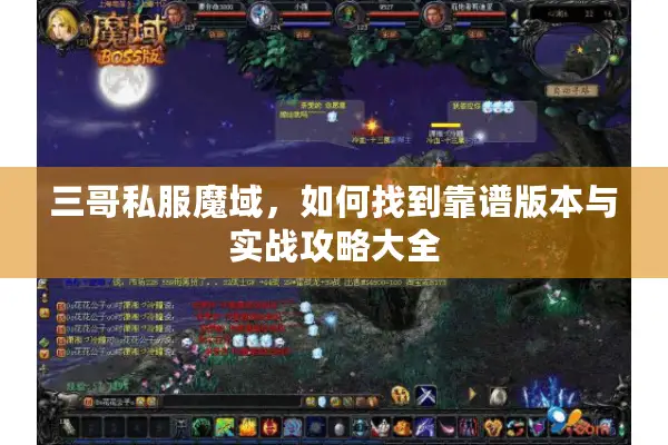 三哥私服魔域，如何找到靠谱版本与实战攻略大全