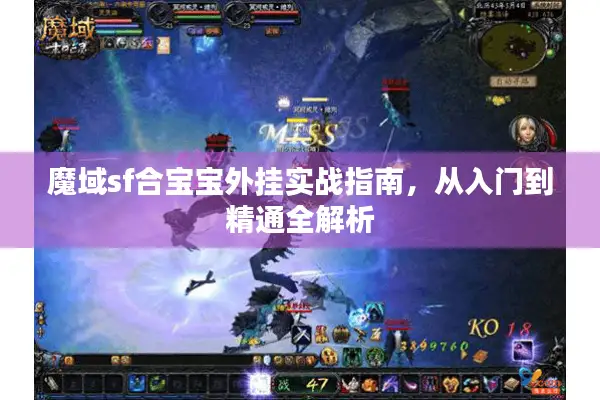 魔域sf合宝宝外挂实战指南，从入门到精通全解析