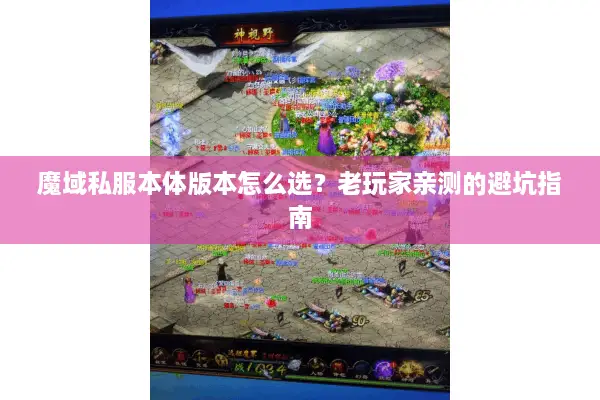 魔域私服本体版本怎么选？老玩家亲测的避坑指南