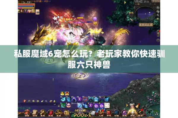 私服魔域6宠怎么玩？老玩家教你快速驯服六只神兽