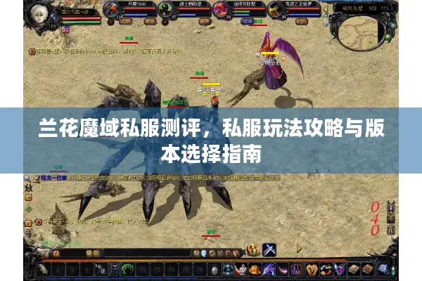兰花魔域私服测评，私服玩法攻略与版本选择指南