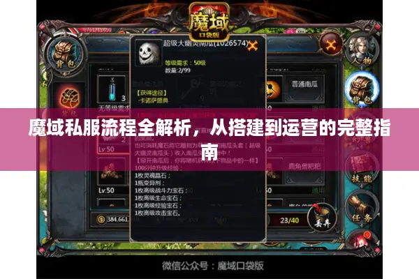 魔域私服流程全解析，从搭建到运营的完整指南