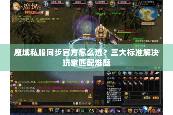 魔域私服同步官方怎么选？三大标准解决玩家匹配难题