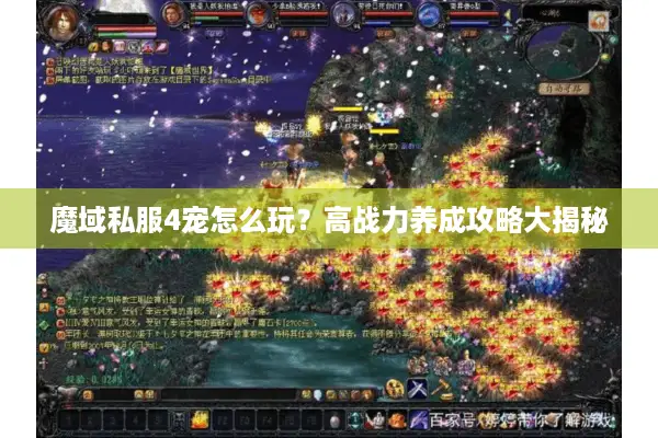 魔域私服4宠怎么玩？高战力养成攻略大揭秘