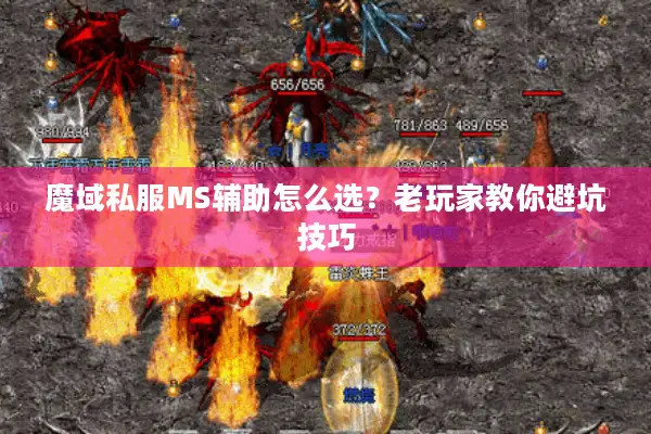 魔域私服MS辅助怎么选？老玩家教你避坑技巧
