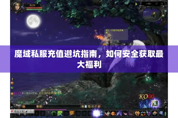 魔域私服充值避坑指南，如何安全获取最大福利