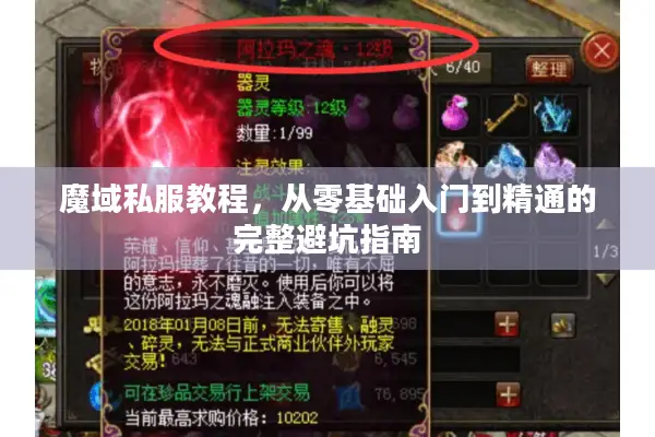 魔域私服教程，从零基础入门到精通的完整避坑指南