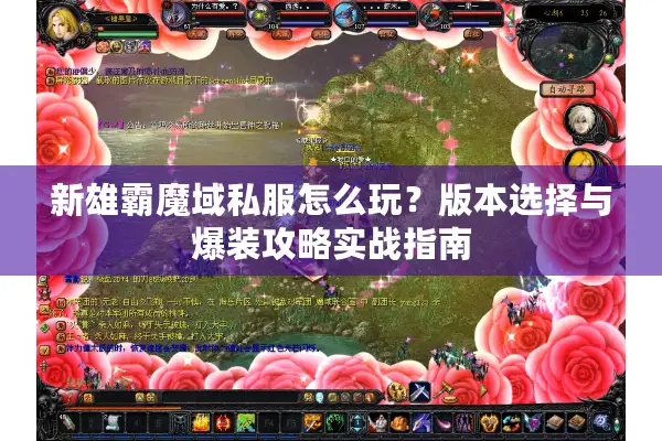 新雄霸魔域私服怎么玩？版本选择与爆装攻略实战指南