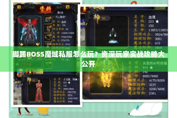 脚踢BOSS魔域私服怎么玩？资深玩家实战攻略大公开