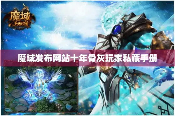 魔域发布网站十年骨灰玩家私藏手册