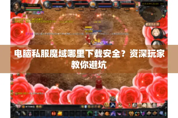电脑私服魔域哪里下载安全？资深玩家教你避坑