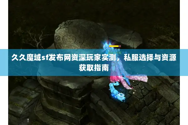 久久魔域sf发布网资深玩家实测，私服选择与资源获取指南