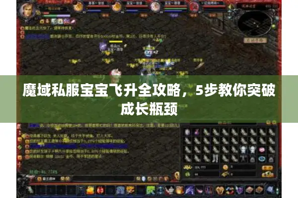 魔域私服宝宝飞升全攻略，5步教你突破成长瓶颈
