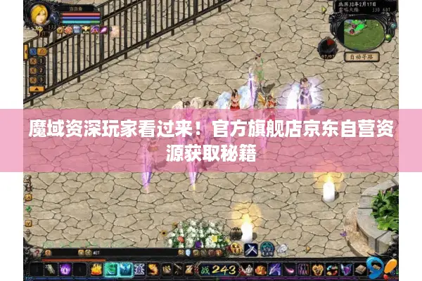 魔域资深玩家看过来！官方旗舰店京东自营资源获取秘籍