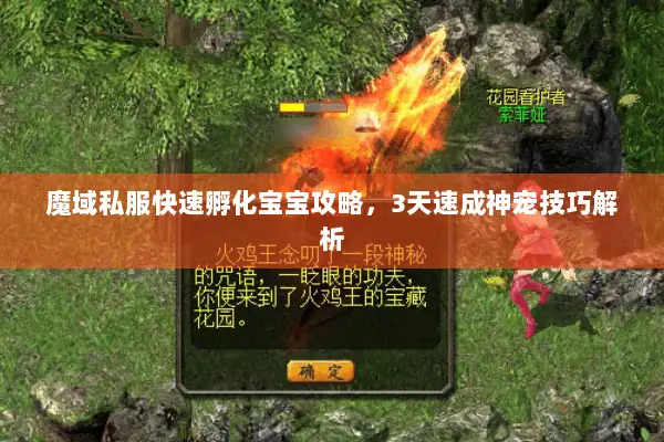 魔域私服快速孵化宝宝攻略，3天速成神宠技巧解析